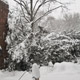 poor feeder