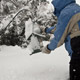 brush off the feeder
