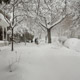 sidewalk