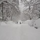 our street