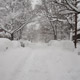 our street