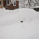 andrea's car