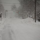 cold springs ln