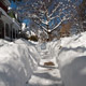 sidewalk canyon