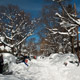 digging out