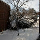 side of house