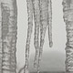 icicles on house