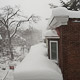 neighborhood stoops