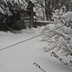 downed cable line