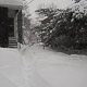 downed cable line
