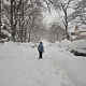 schenley rd