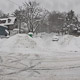 cold spring ln