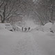 neighbors digging out
