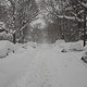 schenley rd