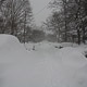 schenley rd