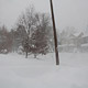 whiteout