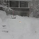 lone light