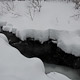 stoney run