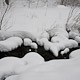 stoney run