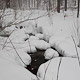 stoney run