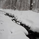 stoney run