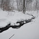 stoney run