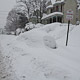 cold spring ln